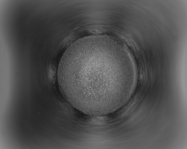 X0000096700332200802191453