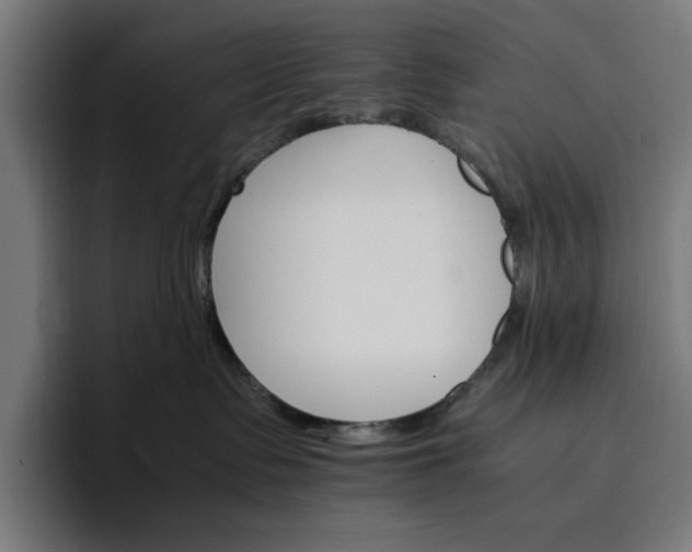 X0000096700335200802191453