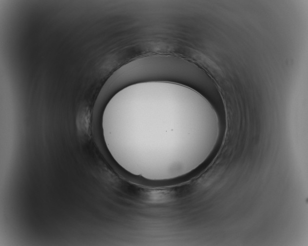 X0000096700336200802191453