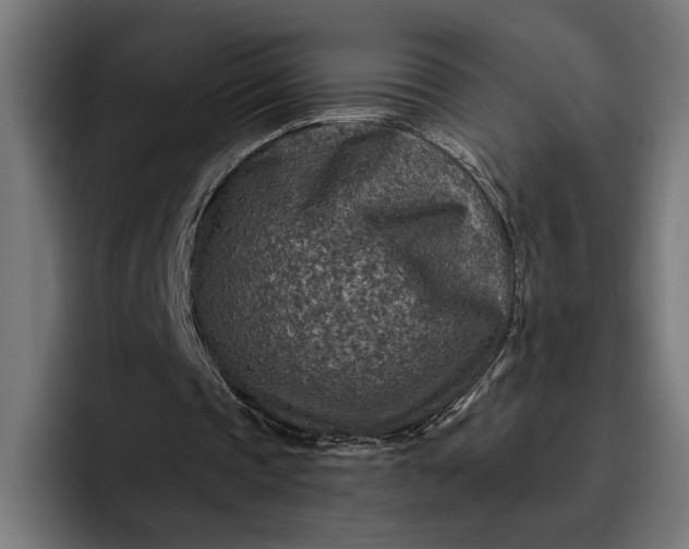 X0000096700337200802191452