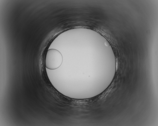 X0000096700339200802191452