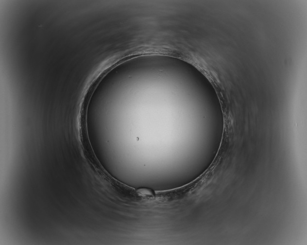 X0000096700340200802191452