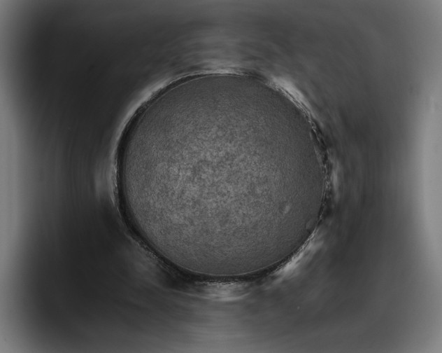 X0000096700342200802191452