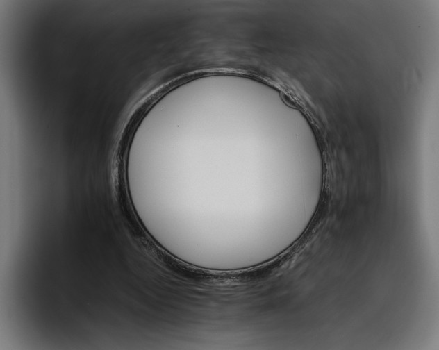 X0000096700344200802191452