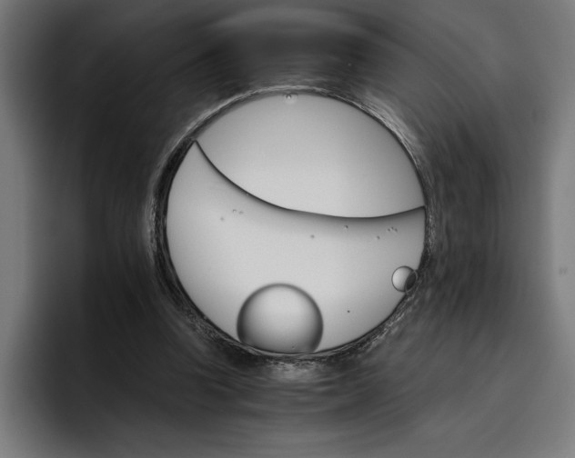 X0000096700346200802191453