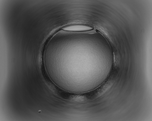 X0000096700348200802191453