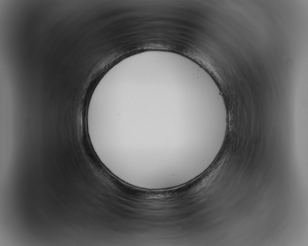 X0000096700349200802191453