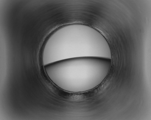X0000096700350200802191453