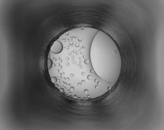 X0000096700351200802191453