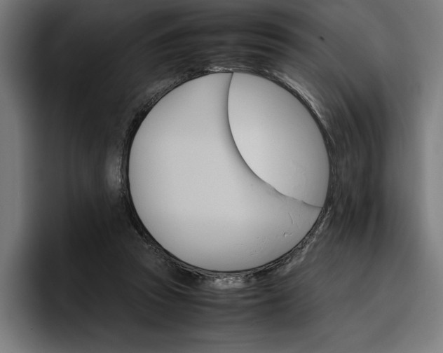 X0000096700353200802191453