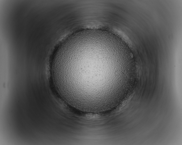 X0000096700354200802191453