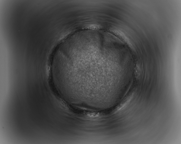 X0000096700355200802191453