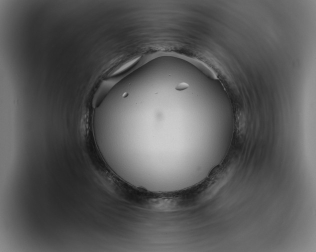 X0000096700356200802191453