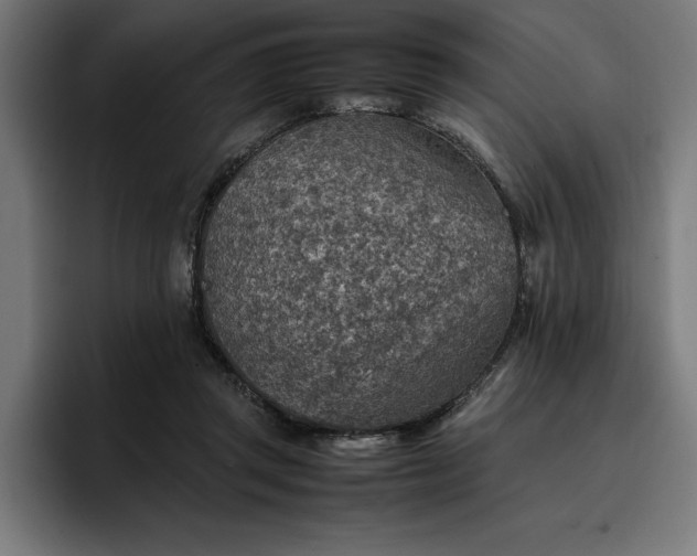 X0000096700357200802191453