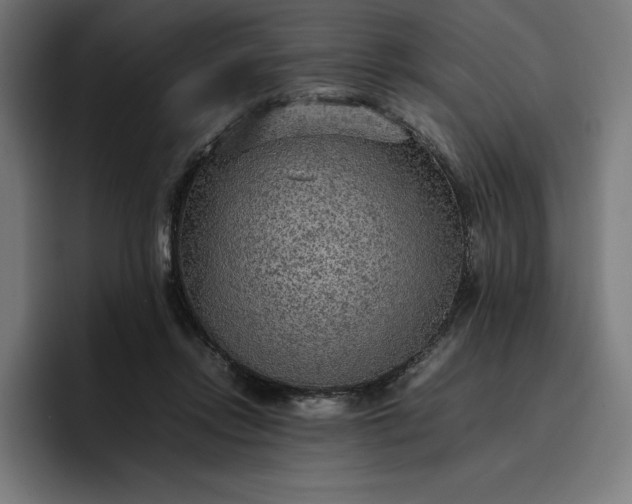 X0000096700358200802191453