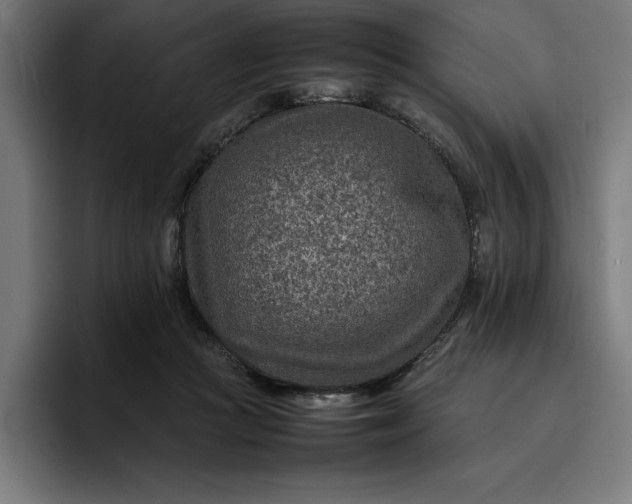 X0000096700361200802191453