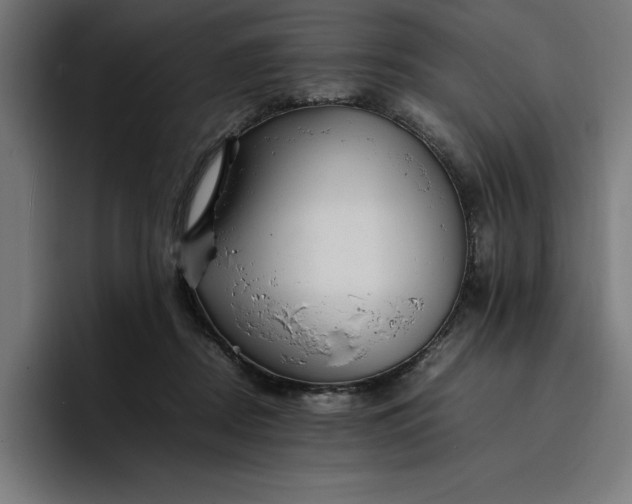 X0000096700362200802191453