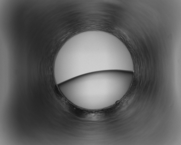 X0000096700364200802191453