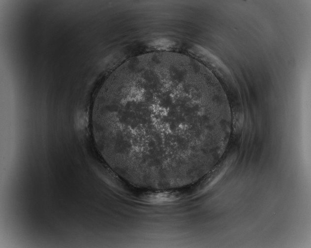 X0000096700365200802191453