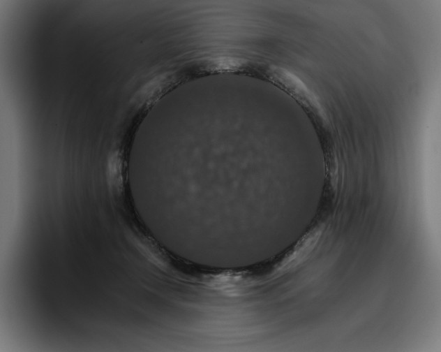 X0000096700366200802191453
