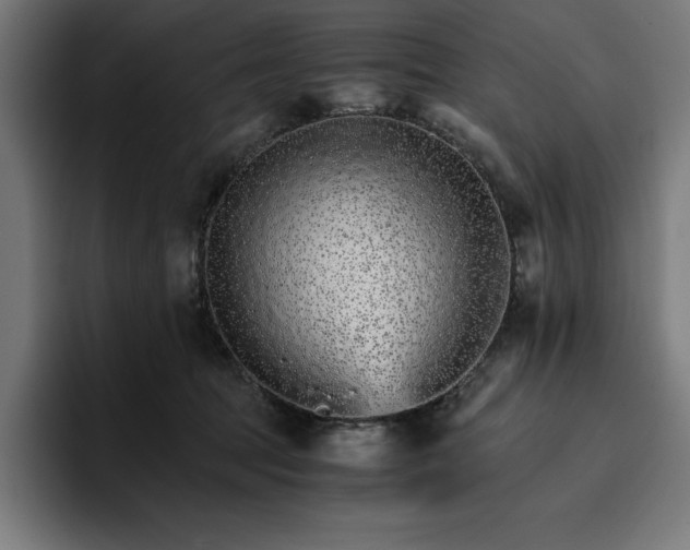 X0000096700369200802191453
