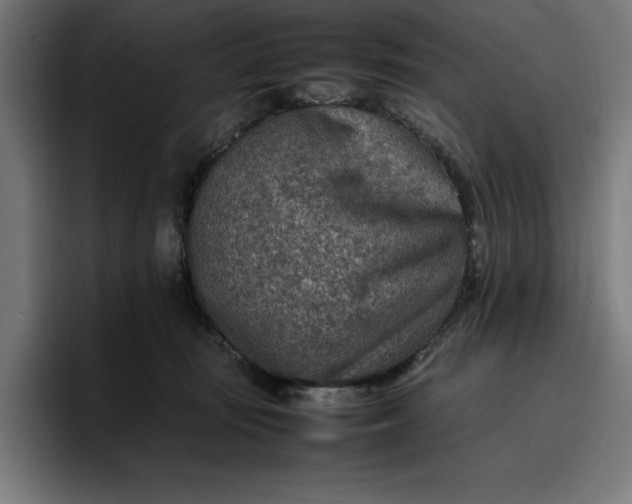 X0000096700371200802191453