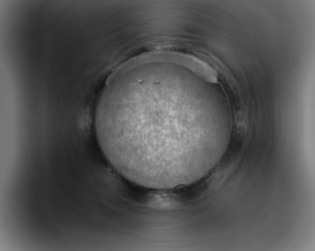 X0000096700372200802191453