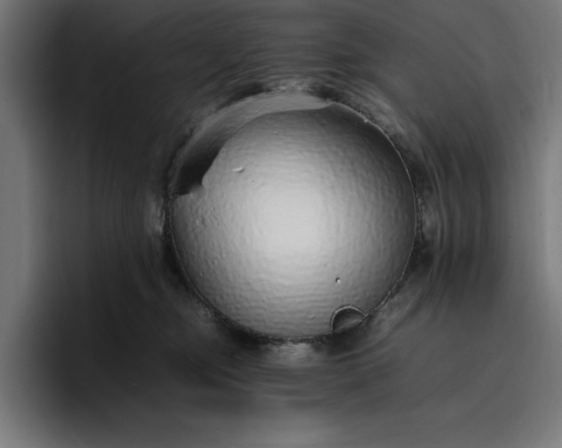 X0000096700374200802191453