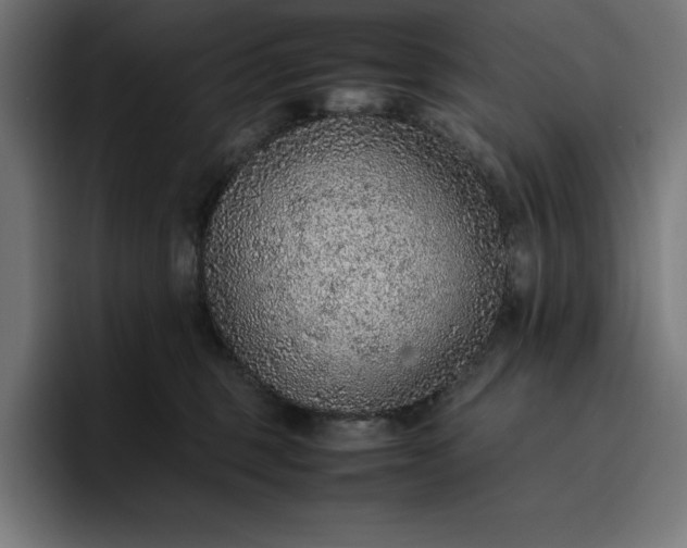 X0000096700375200802191453