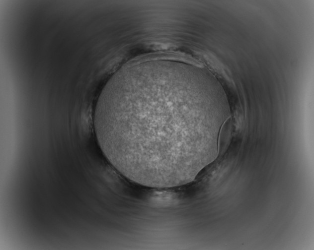 X0000096700376200802191453