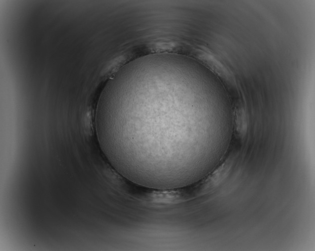 X0000096700378200802191453