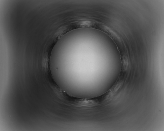 X0000096700379200802191453
