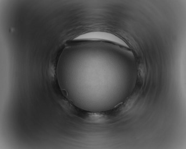 X0000096700380200802191453