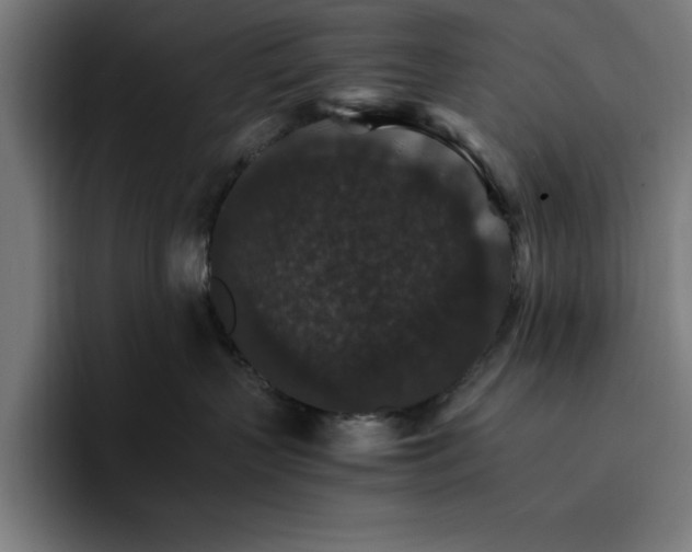 X0000096700383200802191453