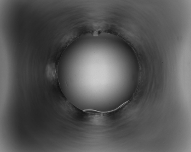 X0000096700384200802191453