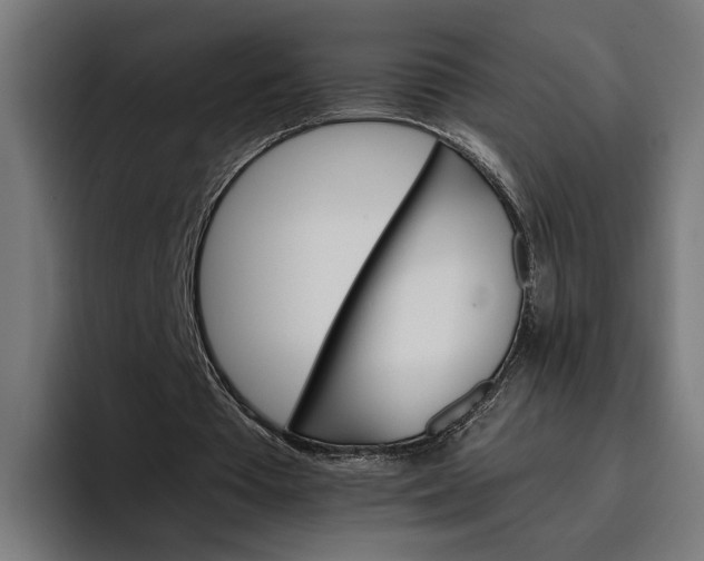 X0000096700385200802191452