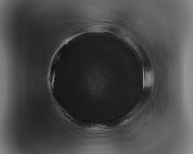 X0000096700387200802191452