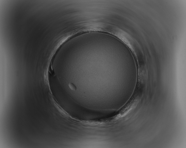 X0000096700389200802191452