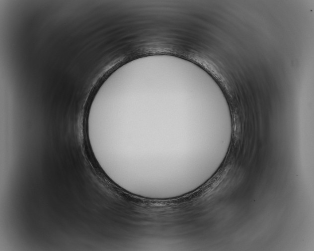 X0000096700390200802191452