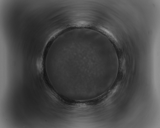 X0000096700392200802191452