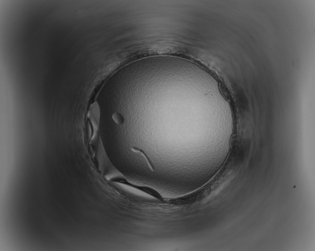 X0000096700393200802191452