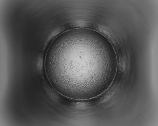 X0000096700394200802191452