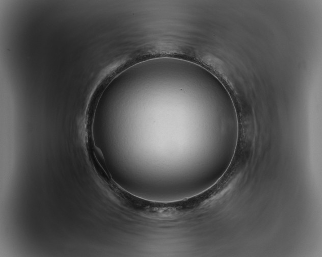 X0000096700395200802191452
