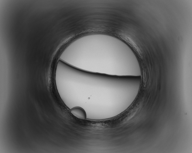 X0000096700396200802191452