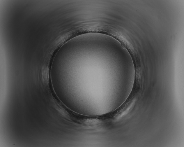 X0000096700397200802191452