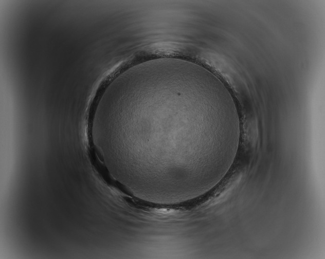 X0000096700399200802191452