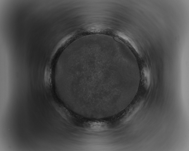 X0000096700400200802191452