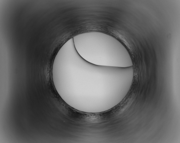 X0000096700402200802191452
