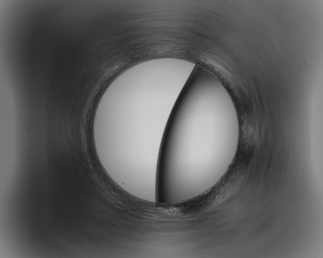 X0000096700403200802191452