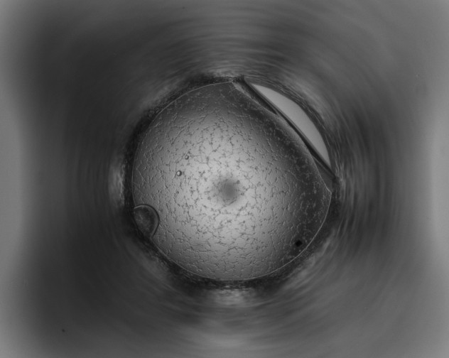X0000096700404200802191452